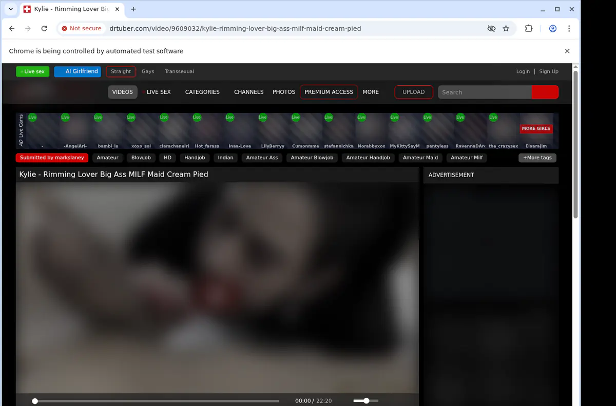 Drtuber Video Downloader browser extension screenshot 3