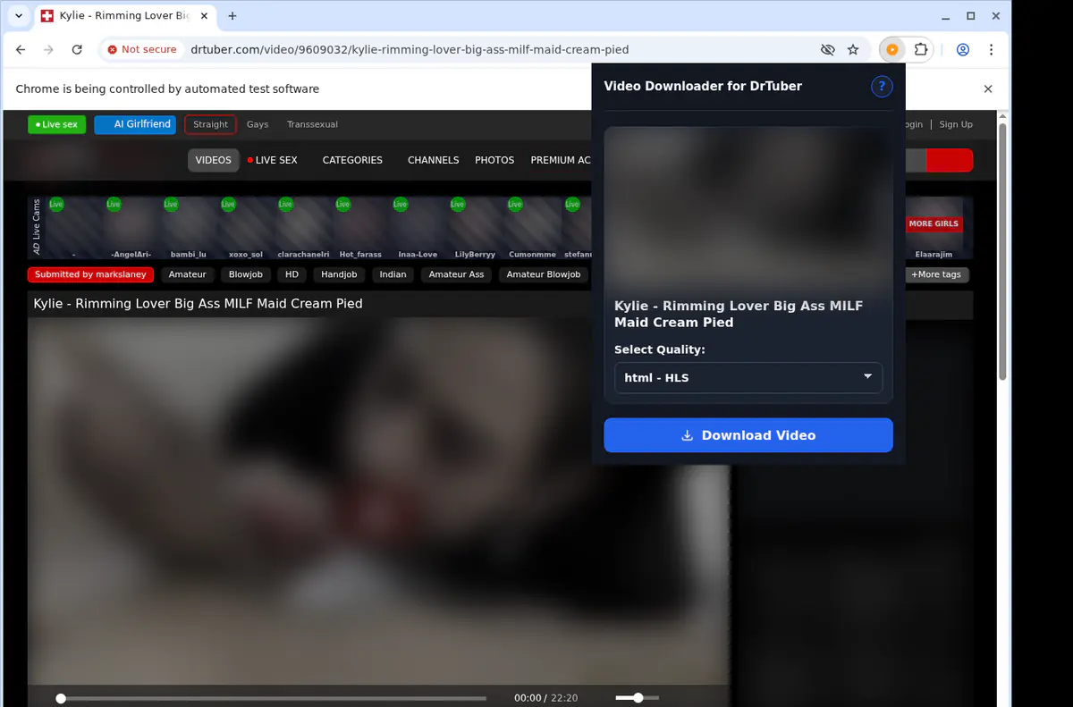 Drtuber Video Downloader browser extension screenshot 4